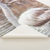 Exotic Flamingo Sherpadecke (3/4)