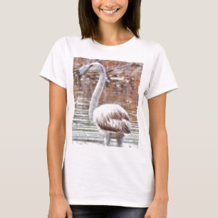 Exotic Flamingo T-Shirt