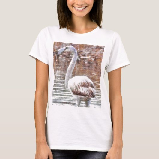 Exotic Flamingo T-Shirt (Vorderseite)