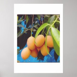 Exotic Gandaria Fruit - Rare Tropical Mango Plum S Poster