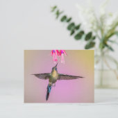 Exotic Hummingbird mit langem Schwanz Postkarte (Stehend Vorderseite)