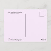 Exotic Hummingbird mit langem Schwanz Postkarte (Rückseite)