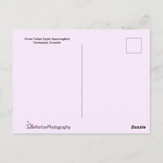Exotic Hummingbird mit langem Schwanz Postkarte (Rückseite)