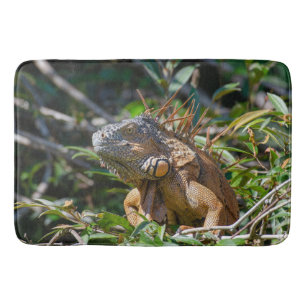 Exotic Iguana, Belize Fotografie Badematte