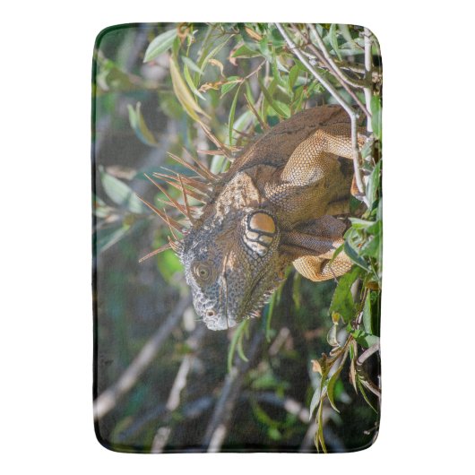 Exotic Iguana, Belize Fotografie Badematte (Vorderseite Vertikal)