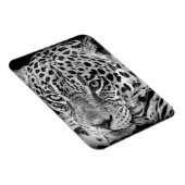 Exotic Jaguar Magnet (Rechte Seite)