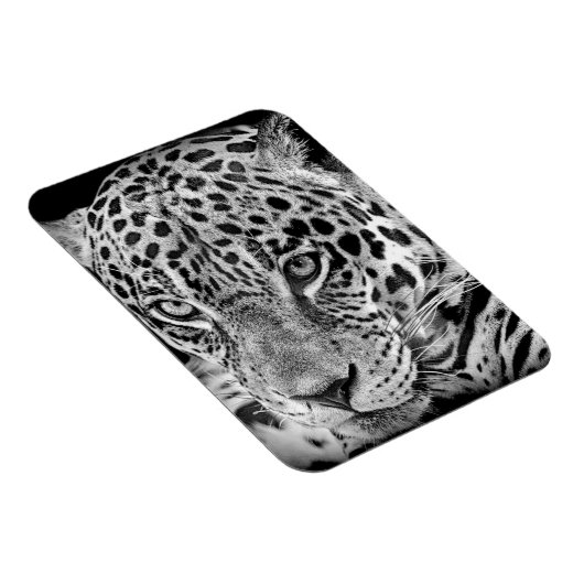 Exotic Jaguar Magnet (Rechte Seite)