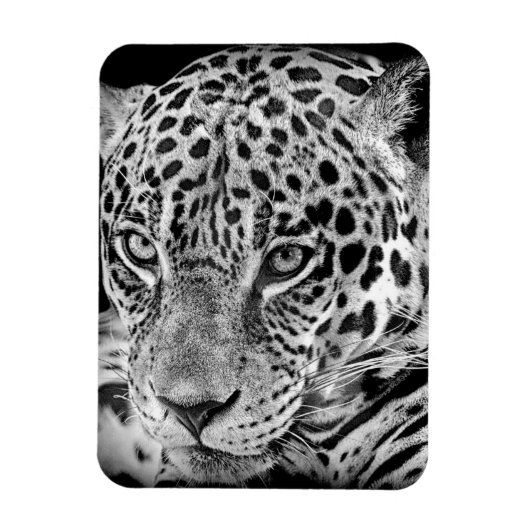 Exotic Jaguar Magnet (Vertikal)