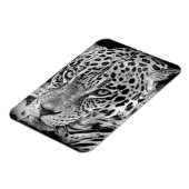 Exotic Jaguar Magnet (Linke Seite)