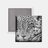 Exotic Jaguar Magnet (Vorderseite/Rückseite)