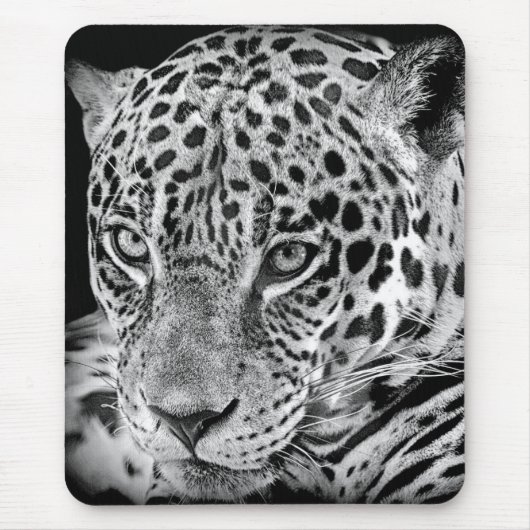 Exotic Jaguar Mousepad (Vorne)