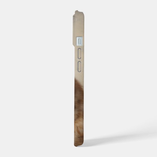 Exotic Kurzhaarkatze iPhone 15 Hülle (Linke Seite)