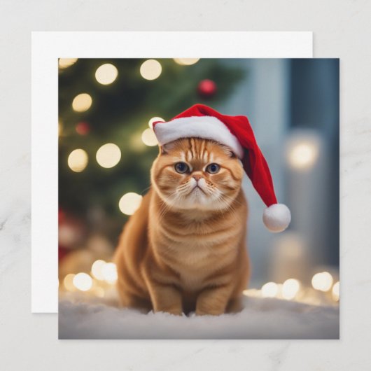 Exotic Kurzweihnachtsfest (Vorne/Hinten)