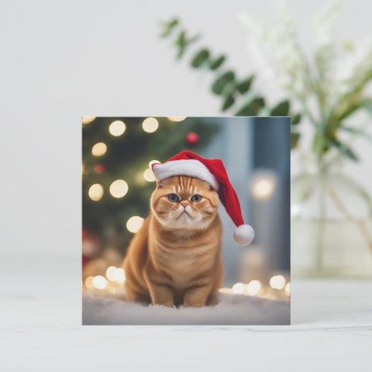 Exotic Kurzweihnachtsfest (Stehend Vorderseite)