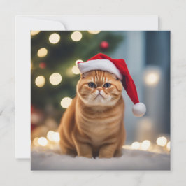 Exotic Kurzweihnachtsfest