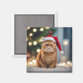 Exotic Kurzweihnachtsfest Magnet (Vorderseite/Rückseite)