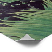 Exotic Landscape, 1910 Poster (Ecke)