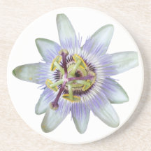 Exotic Lila Passion Blume Sandstone Untersetzer