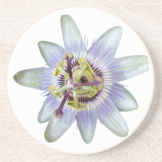 Exotic Lila Passion Blume Sandstone Untersetzer (Vorne)