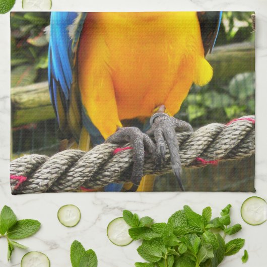 Exotic Macaw Parrot Geschirrtuch (Gefaltet)