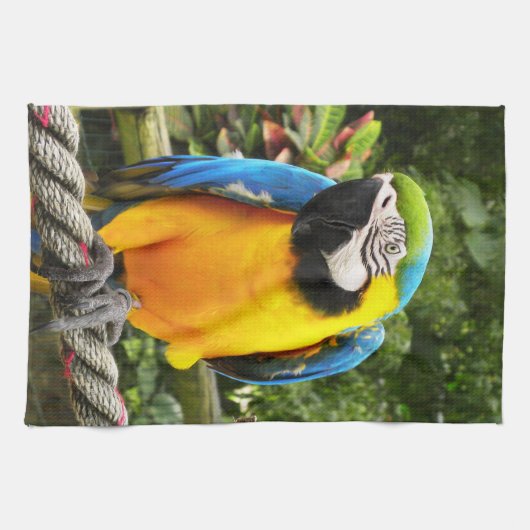 Exotic Macaw Parrot Geschirrtuch (Horizontal)