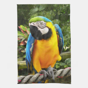 Exotic Macaw Parrot Geschirrtuch