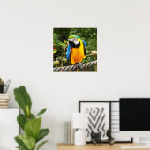 Exotic Macaw Parrot Poster (Heimbüro)