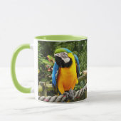 Exotic Macaw Parrot Tasse (Links)