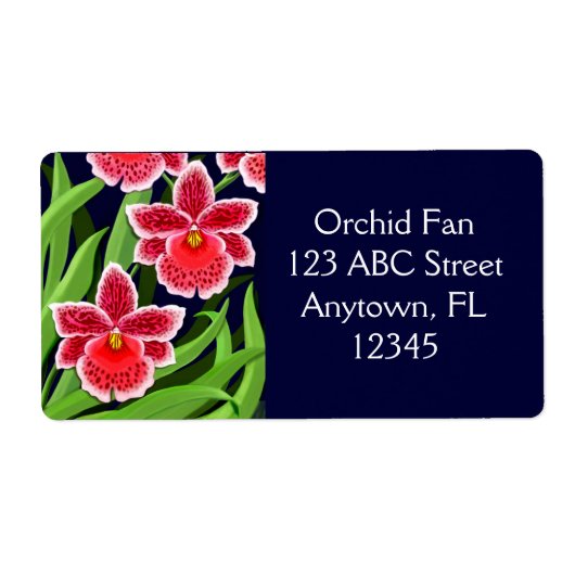 Exotic Odontoglossum Orchius Label (Vorne)