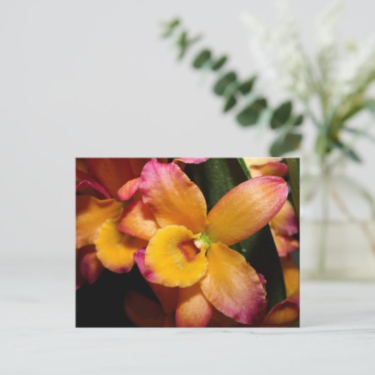 Exotic Orchid Postkarte (Stehend Vorderseite)