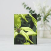 Exotic Orchid Postkarte (Stehend Vorderseite)