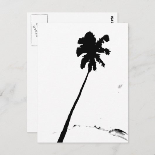 Exotic Palm Tree Postkarte (Vorne/Hinten)