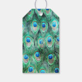 Exotic Peacock Feathers Vielen Dank Geschenkanhänger (Rückseite)