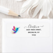 Exotic Rainbow Hummingbird (Insitu)