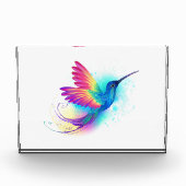Exotic Rainbow Hummingbird Fotoblock (Vorderseite)