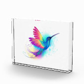 Exotic Rainbow Hummingbird Fotoblock (Rechts)