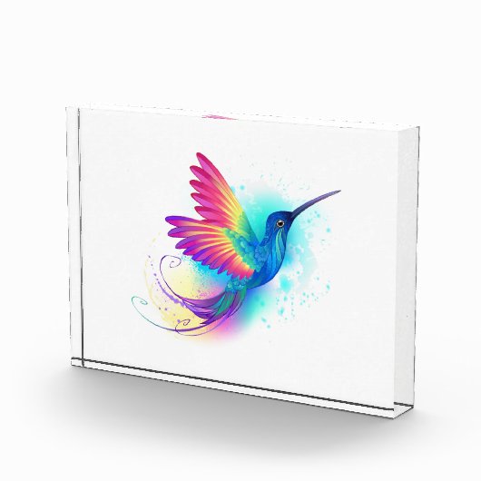 Exotic Rainbow Hummingbird Fotoblock (Rechts)