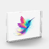 Exotic Rainbow Hummingbird Fotoblock (Links)