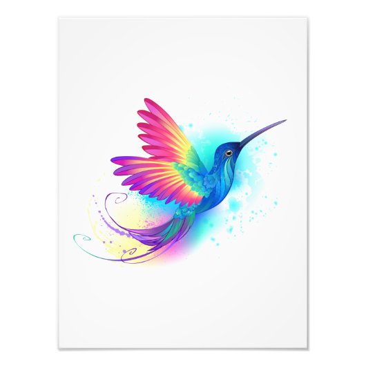 Exotic Rainbow Hummingbird Fotodruck (Vorne)