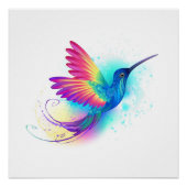 Exotic Rainbow Hummingbird Poster (Vorderseite)