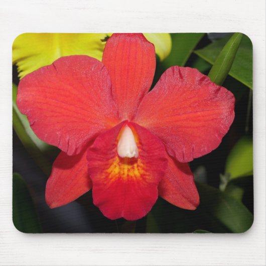 Exotic Red Orchid Mousepad (Vorne)