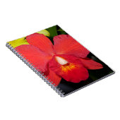 Exotic Red Orchid Notizblock (Rechte Seite)