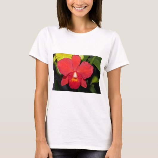 Exotic Red Orchid T-Shirt (Vorderseite)