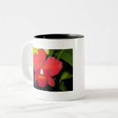 Exotic Red Orchid Zweifarbige Tasse (Vorderseite Links)