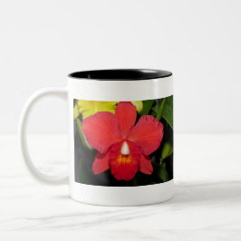 Exotic Red Orchid Zweifarbige Tasse