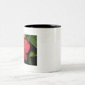 Exotic Red Orchid Zweifarbige Tasse (Mittel)