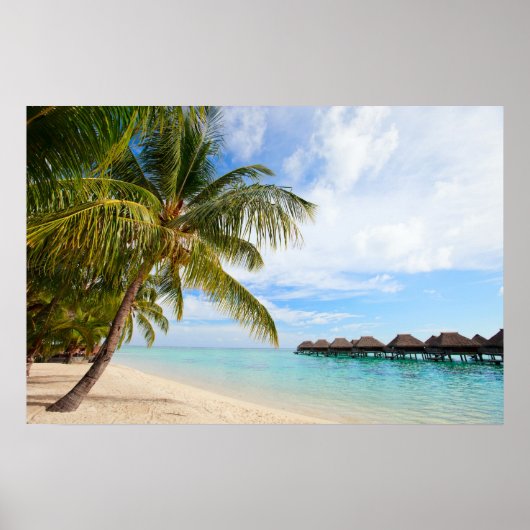 Exotic Resort Poster (Vorne)