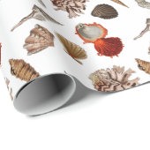 Exotic Seashell Beach Thema Geschenkpapier (Rolleneckpunkt)
