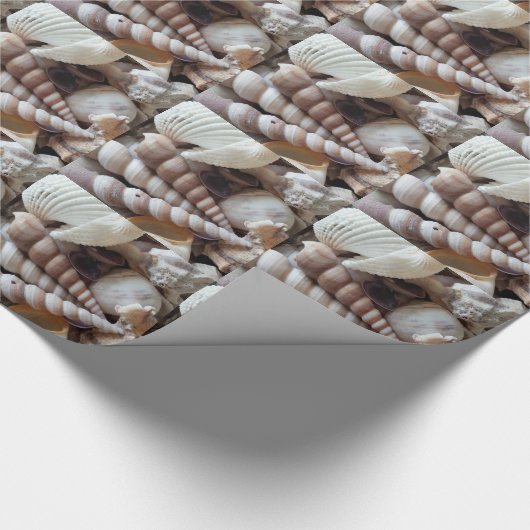 Exotic Seashells Collection, Summer Beach Geschenkpapier (Ecke)