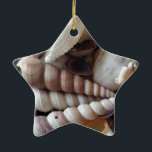 Exotic Seashells Collection, Summer Beach Keramik Ornament<br><div class="desc">Exotic Seashells Collection,  Summer Beach</div>